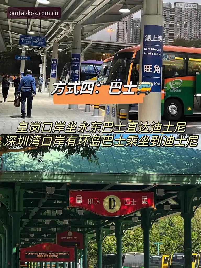 中欧体育App下载 KOK中欧平台App下载与使用完整指南:从安装到安全操作一站式解析